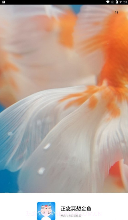 正念冥想金鱼截图1