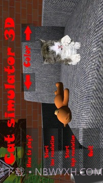 小猫模拟器截图1 小猫模拟器截图1