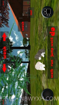 小猫模拟器截图5 小猫模拟器截图5