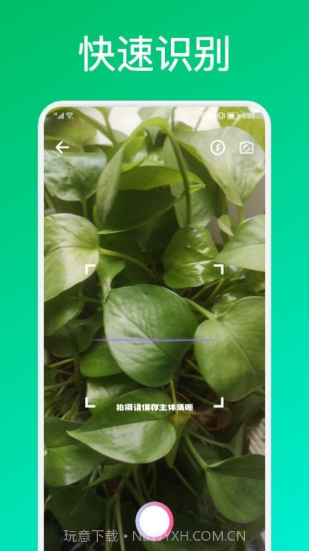 识花君植物识别截图1