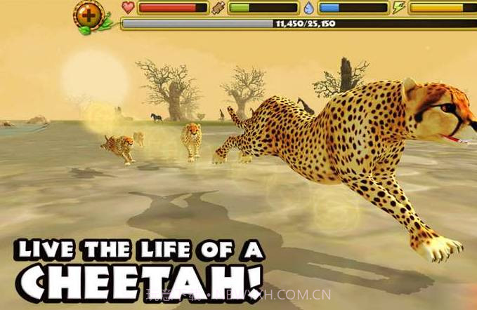 猎豹模拟截图2