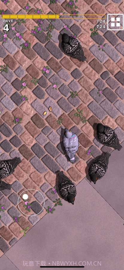 公园饲鸽截图5 公园饲鸽截图5