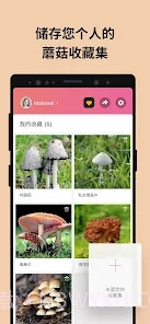Picture Mushroom蘑菇识别扫一扫截图5 Picture Mushroom蘑菇识别扫一扫截图5