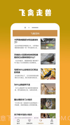 飞禽大全资讯截图1