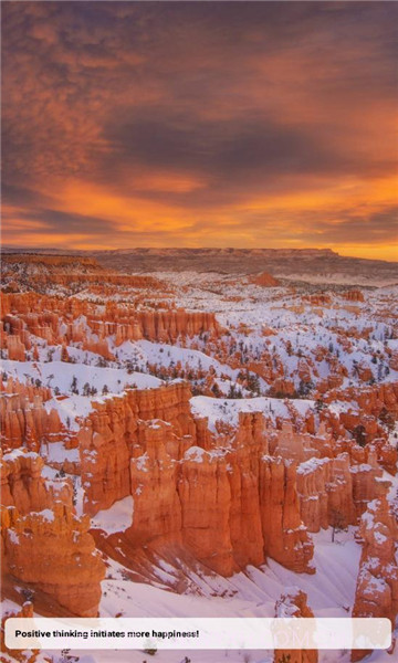 宝可梦词典截图2