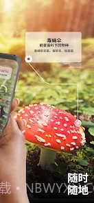 Picture Mushroom蘑菇识别扫一扫截图4 Picture Mushroom蘑菇识别扫一扫截图4