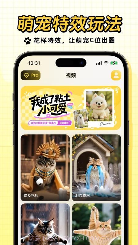 宠玩官方版截图1