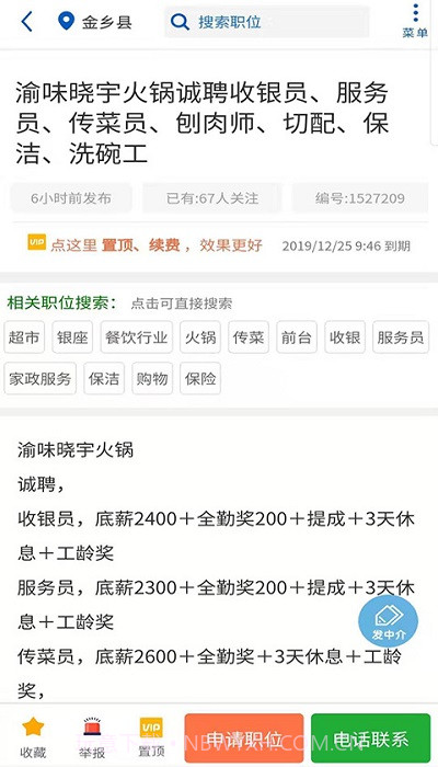 金乡人才网截图2