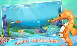 口袋水族箱截图3 口袋水族箱截图3