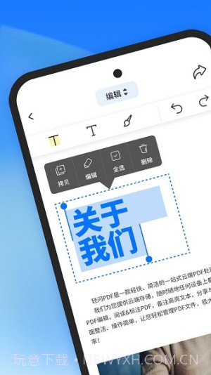 轻闪PDF官方版截图2
