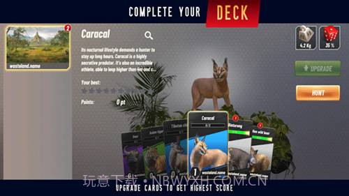 野生动物冲突截图2